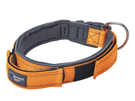 Hondenhalsband ArmoredTech Oranje