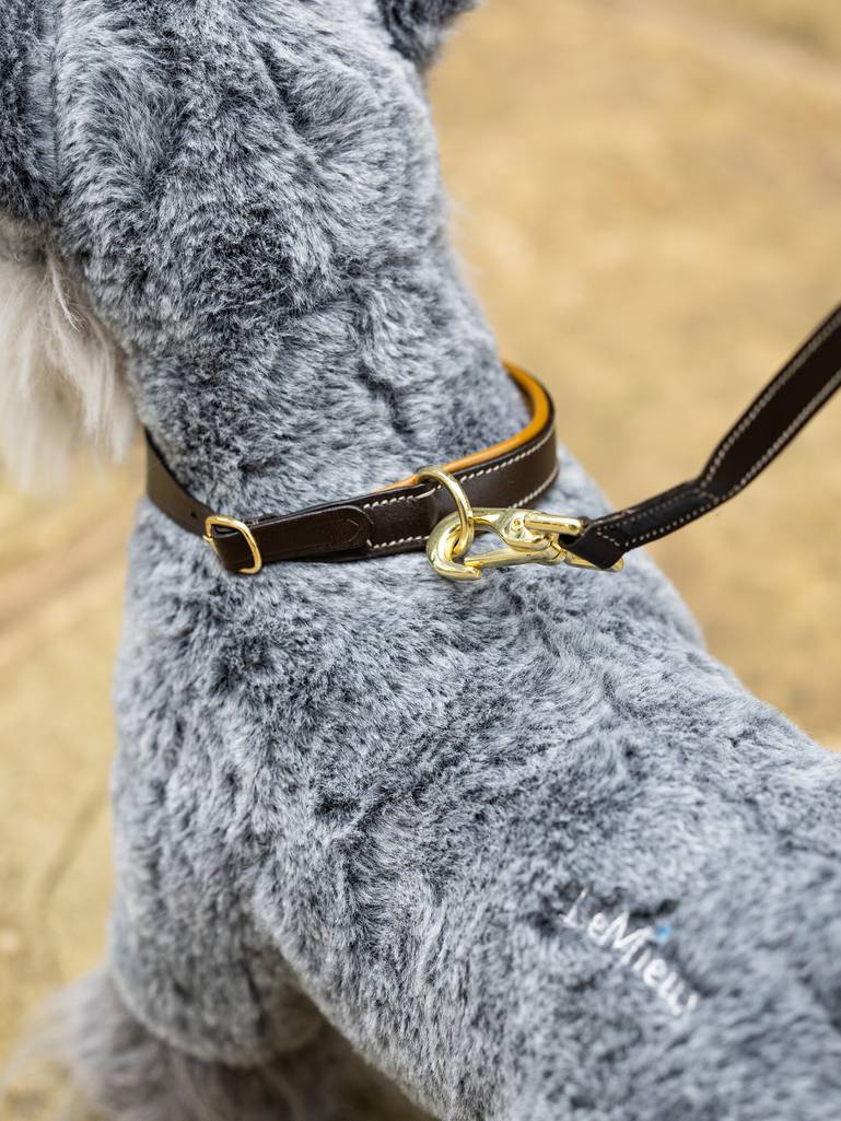 Speelgoed Puppy halsband & hondenriem Ginger/bruin.