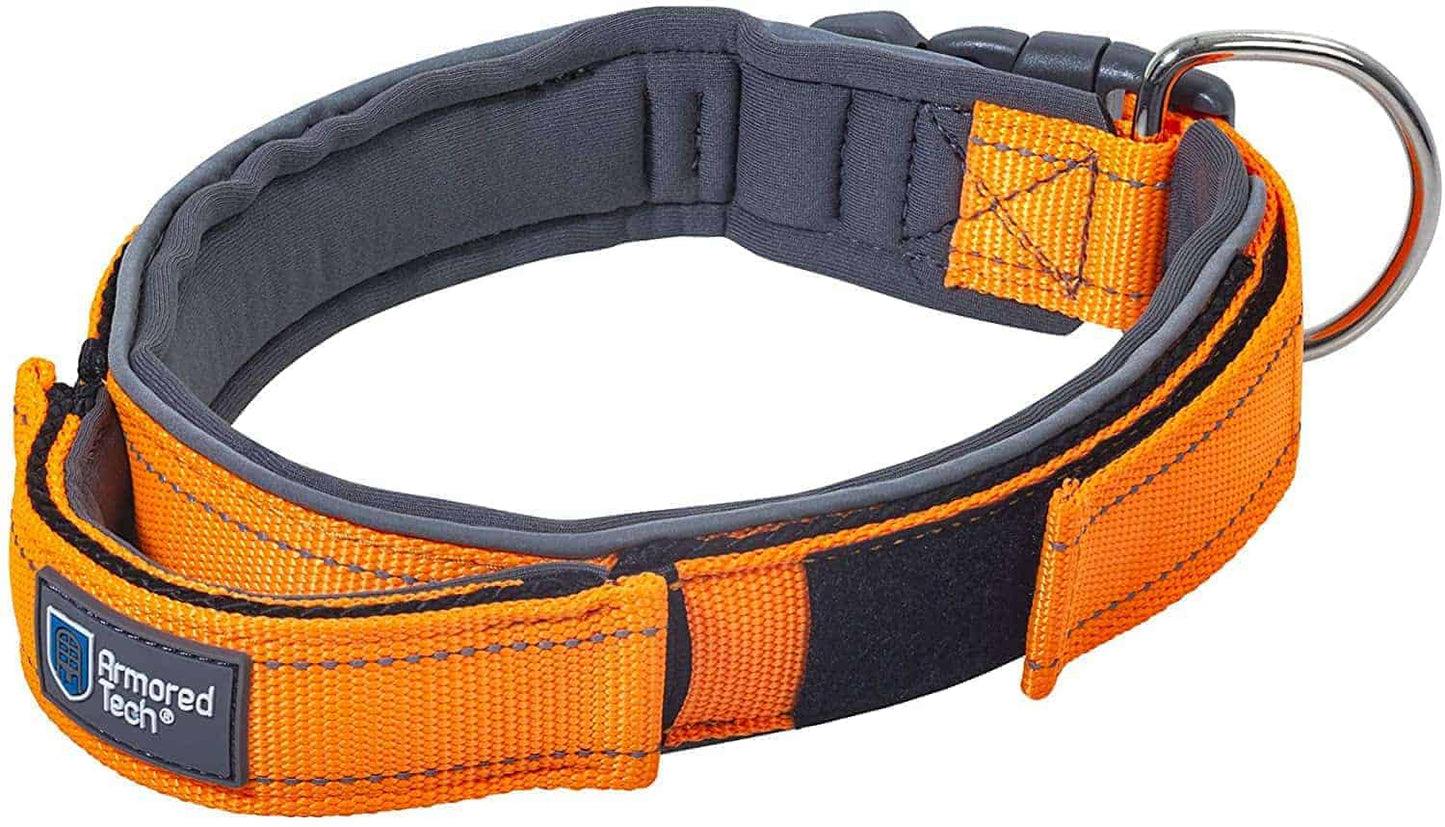 Dog Control Halsband Oranje