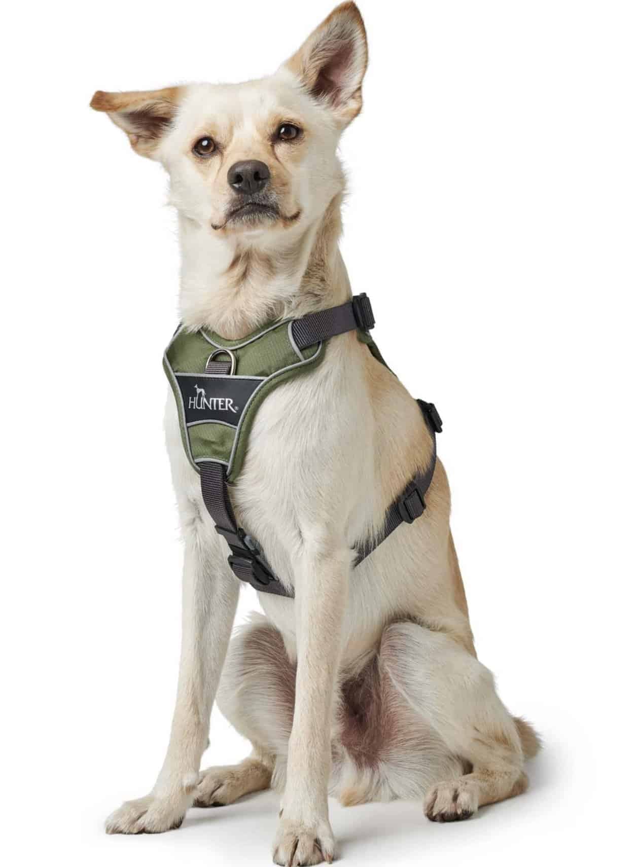 Hunter Dog Harness Divo Premium - Green / Gray