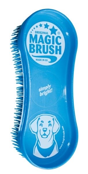 Magic Brush Dog Blue Sky