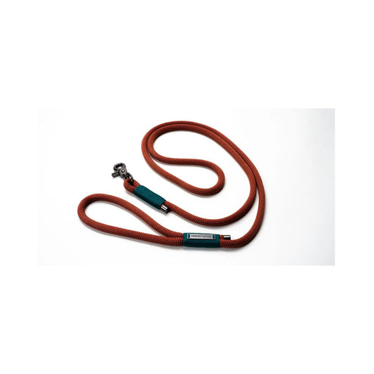 Franky Lewis Dog Leash - Abby Green - 1.90M 