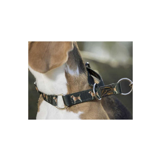 Dog collar Beagle Dark green 