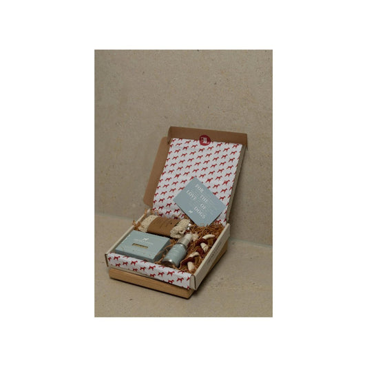 Frenky Lewis - Cadeaubox Spring Notes