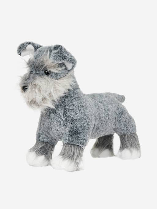 Lemieux-Zwergwelpe (Schnauzer) Cooper