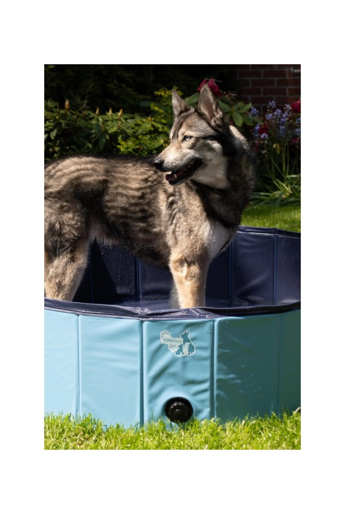 Coolpets Hondenzwembad 100 cm x 25 cm