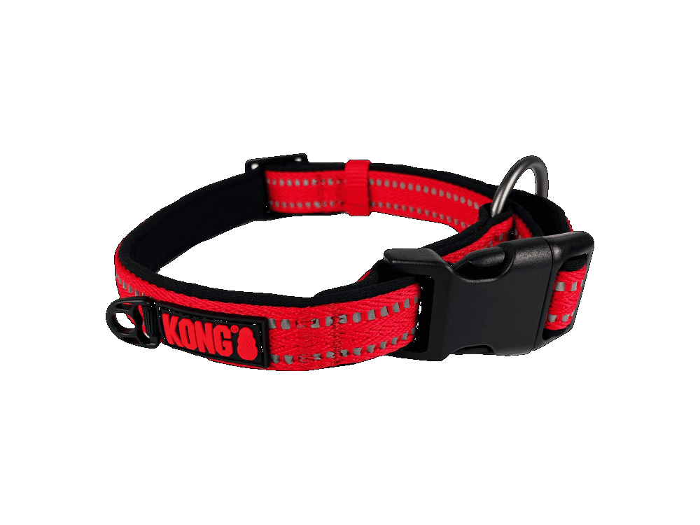 Kong Nylon Halsband Rood