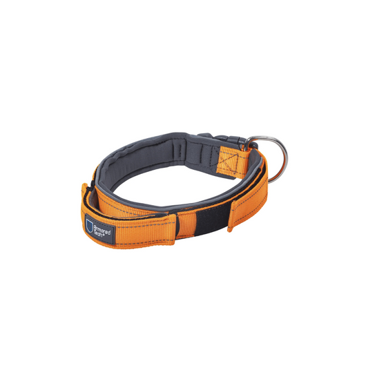 Hundehalsband ArmoredTech Orange