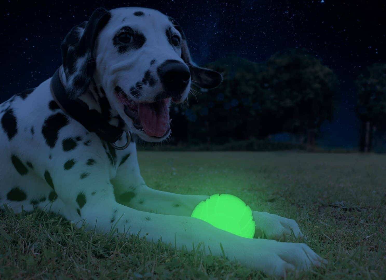 Glow in the dark bal